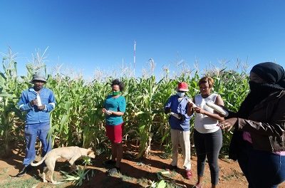 Farming training and mentorship programme ensures that Uitkoms residents become self sufficient