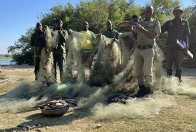More than 76km of illegal netting confiscated and destroyed by Sikunga fish guards