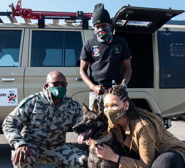 Anti-poaching canine unit receives four new members from the Netherlands