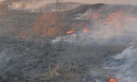 City of Windhoek says residents must be vigilant during fire season
