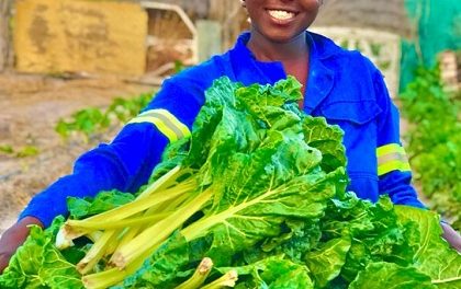Young local food farmer utilizes home garden to enhance household food security and livelihood