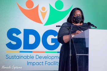 Trade Ministry, UNDP host fundraiser for SDG impact facility