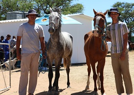 Animal welfare at Groot Aub receives timely financial boost