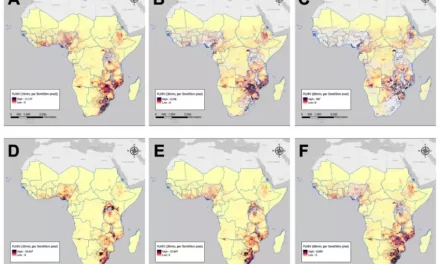 These 6 maps reveal why distance is such a crucial factor in tackling HIV in Africa