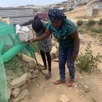 Urban gardening helps fight hunger and malnutrition in Windhoek’s Goreangab
