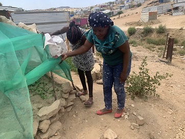 Urban gardening helps fight hunger and malnutrition in Windhoek’s Goreangab