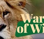 Global forwarding company DHL helps to relocate wildlife