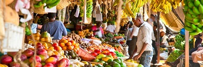 Initiative for high-level political engagement to advance nutrition in Africa launched