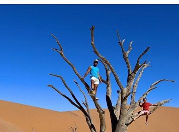 Govt restcamp manager condemns tourists’ tree climbing at Deadvlei