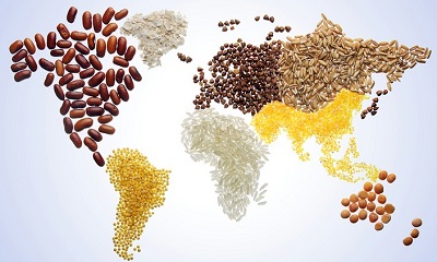 New scenarios on global food security based on Russia-Ukraine conflict