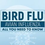 Highly pathogenic avian influenza outbreak at the coast controlled – Official