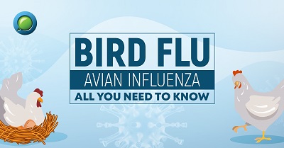 Bird flu is back, should we be worried? – Scientific Society to host talk