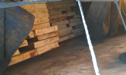 Unprocessed timber destined for South Africa confiscated