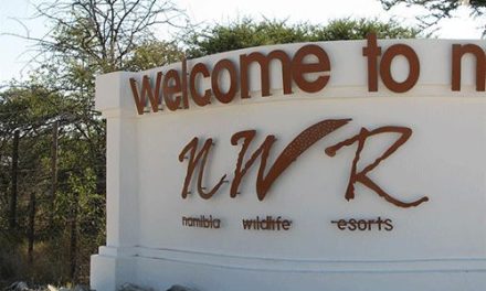 Wildlife Resorts reduces losses by N$77 million