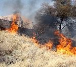 City of Windhoek advises residents on course of action in case of a veld fire