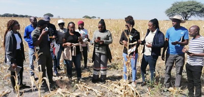 Agriculture Ministry, Agronomic Board staff receive training on crop yield estimation