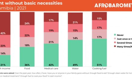 Namibians experience moderate to severe poverty in the past year – Afrobarometer