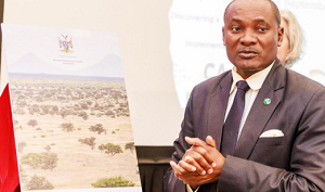 Namibia can generate N$76 billion from bush encroachment says official