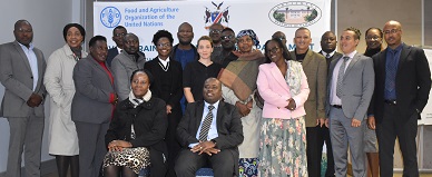 Parliamentarians trained on land tenure governance