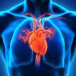 Heart failure in Africa and the Middle East a problem – Report