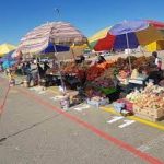 PDM to construct open market for informal traders in Havana