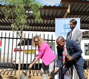 CDC Namibia celebrates 20th anniversary with symbolic tree planting