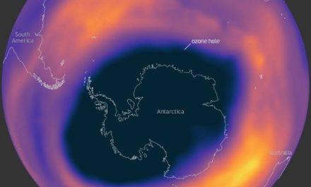 Healing ozone layer helps prevent global warming by 0.5°C