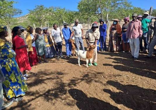Follow-up training helps Kunene goat farmers manage healthy herds